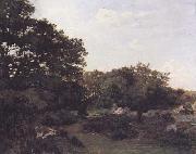 Frederic Bazille Forest of Fontainebleau (mk06) painting